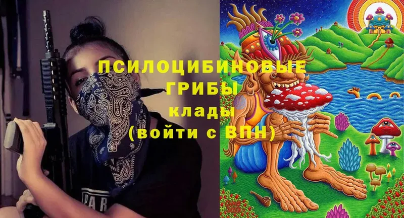 Псилоцибиновые грибы Cubensis  это Telegram  Болхов 